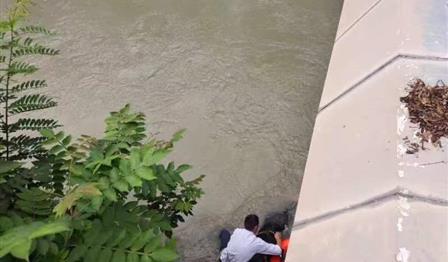 正能量！青龙湖应急接济队勇救落水游客